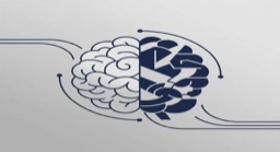 MBTI And How You Handle Criticism And Failure In Life
