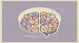 MBTI & Decision Making: How Do Gen Z’s 16 Personality Types Decide Differently?
