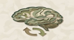 Psychological Age Test: Are You Younger or Older Than Your Real Age?